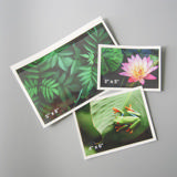 Self-adhesive Poly Pocket, Top Opening, 3'' x 5'' 