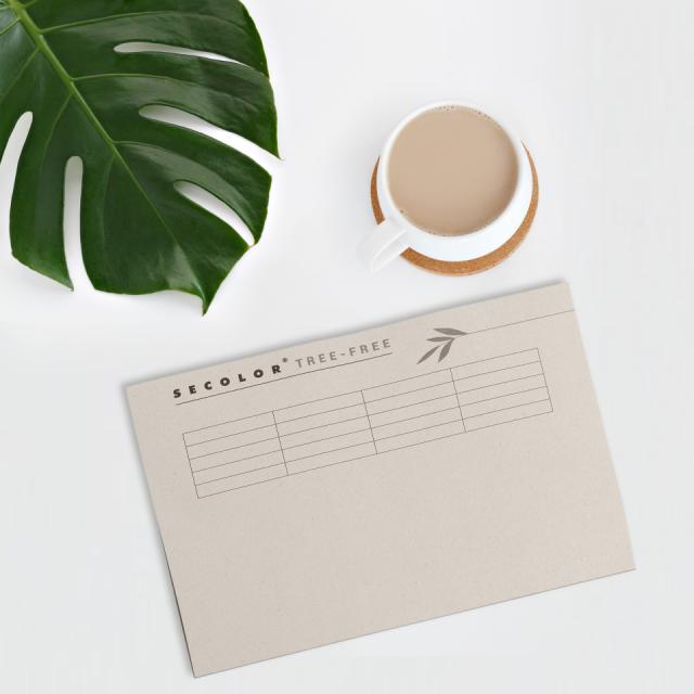 Tree-Free File Cover, Folio