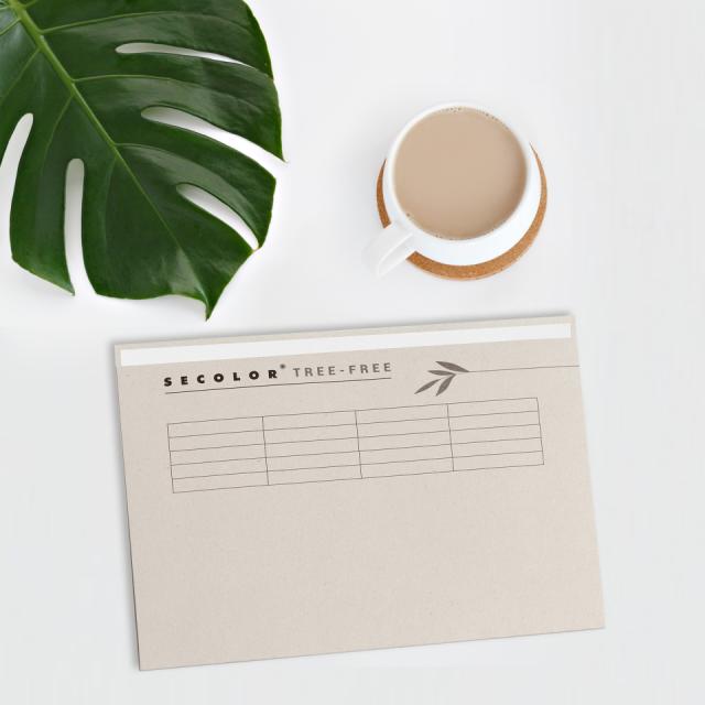 Tree-Free File Folder with Top Tab Edge, Folio