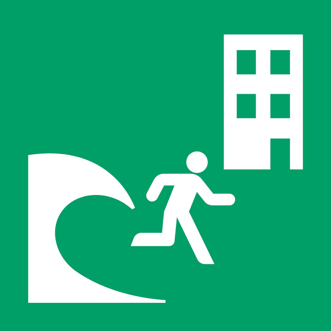 Safety Sign Tsunami Evacuation Building, 300 x 300 mm