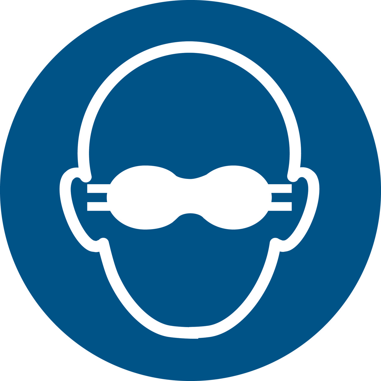 Safety Sign Opaque Eye Protection Must Be Worn, 100 mm