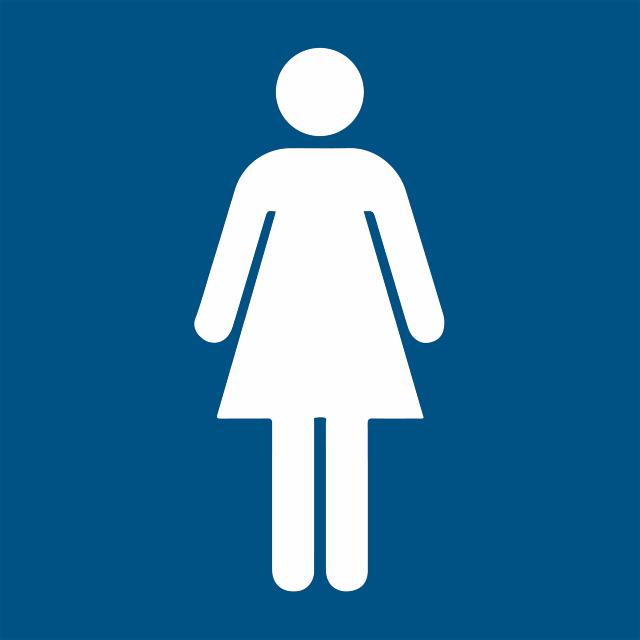 Women's Restroom Sign, 100 x 100 mm