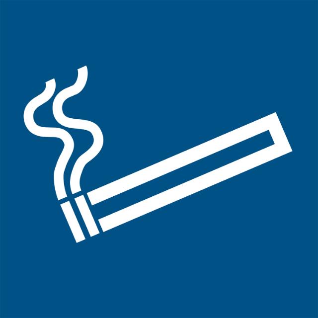 Smoking Permitted Sign, 100 x 100 mm