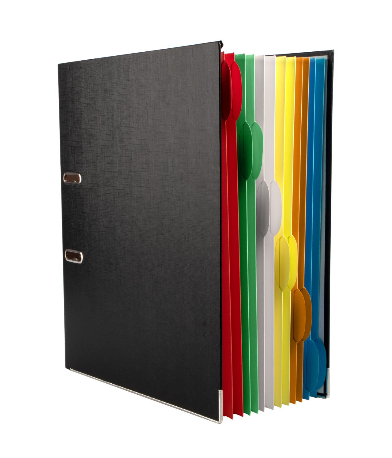 Binder with 12 Smartfolder Perforated Folders with Tabs, A4